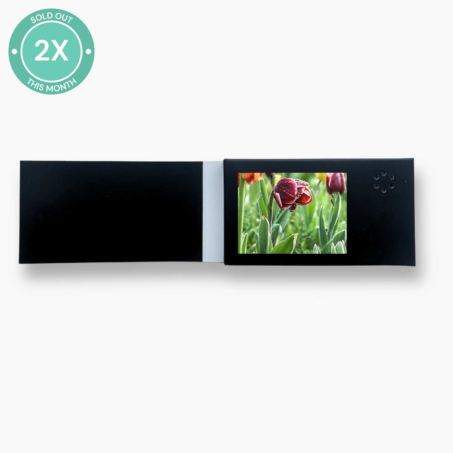 MINI heymemo Video Card