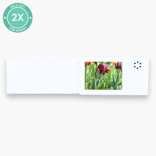 MINI heymemo Video Card